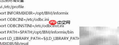 Informix客户端安装指南