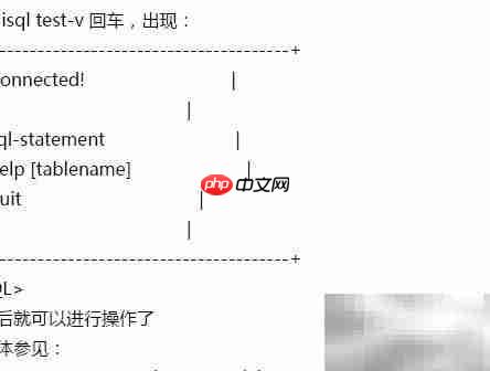 Informix客户端安装指南