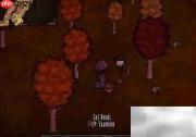 饥荒中捕捉六眼飞鱼技巧