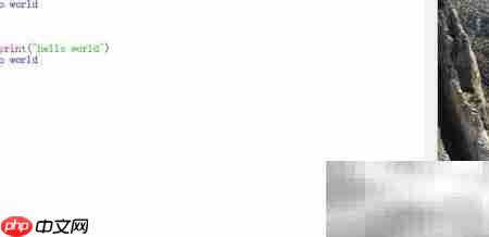 Windows安装运行Python程序