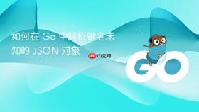 如何在 Go 中解析键名未知的 JSON 对象