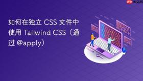 如何在独立 CSS 文件中使用 Tailwind CSS（通过 @apply）
