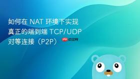 如何在 NAT 环境下实现真正的端到端 TCP/UDP 对等连接(P2P)