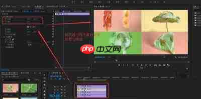 premiere怎么制作四个方向同时进入显示的入场动画