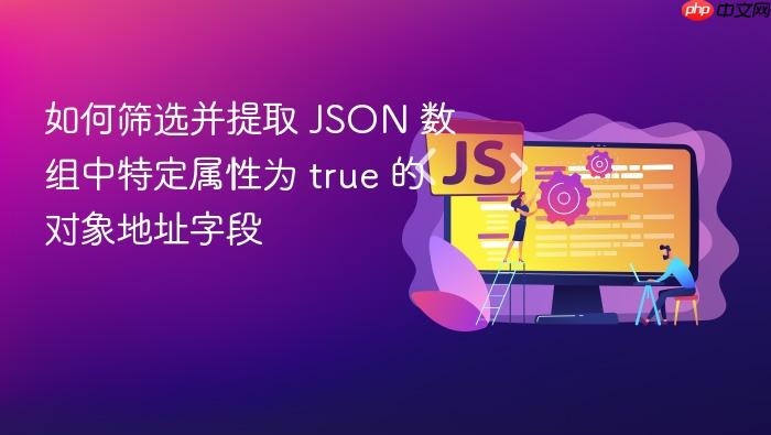 如何筛选并提取 JSON 数组中特定属性为 true 的对象地址字段