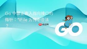 Go 中禁止嵌入指向接口的指针:*IFile 为何不合法?