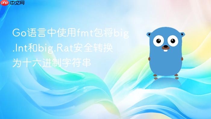 Go语言中使用fmt包将big.Int和big.Rat安全转换为十六进制字符串