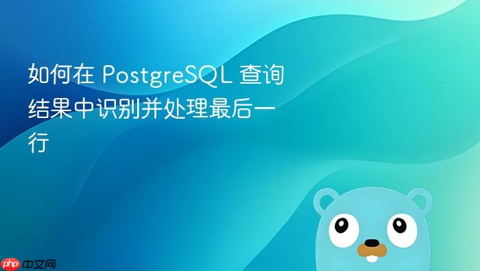 如何在 PostgreSQL 查询结果中识别并处理最后一行