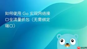 如何使用 Go 实现网络接口全流量抓包(无需绑定端口)