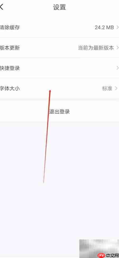 国家医保平台字体设置方法