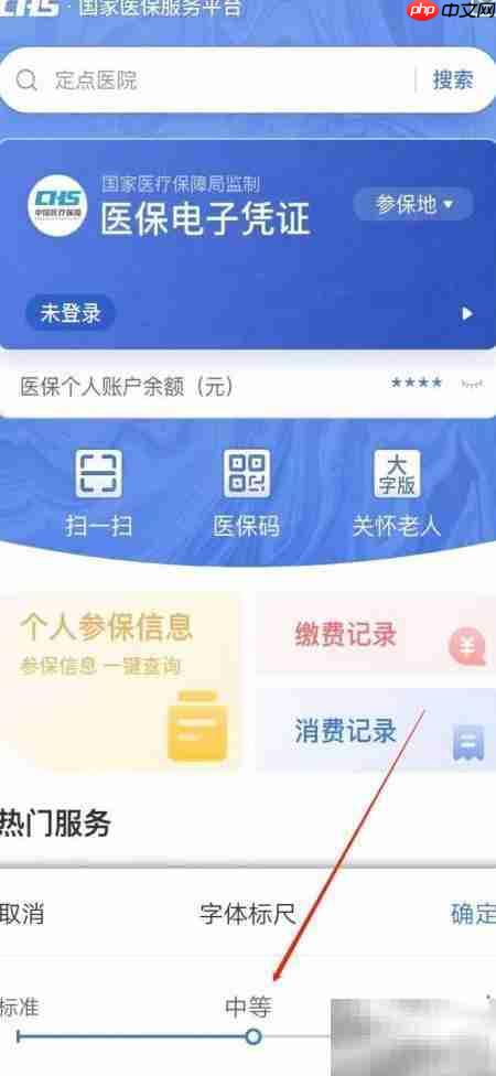 国家医保平台字体设置方法