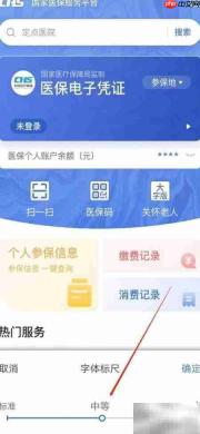 国家医保平台字体设置方法