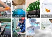 iSpring PH笔校准教程