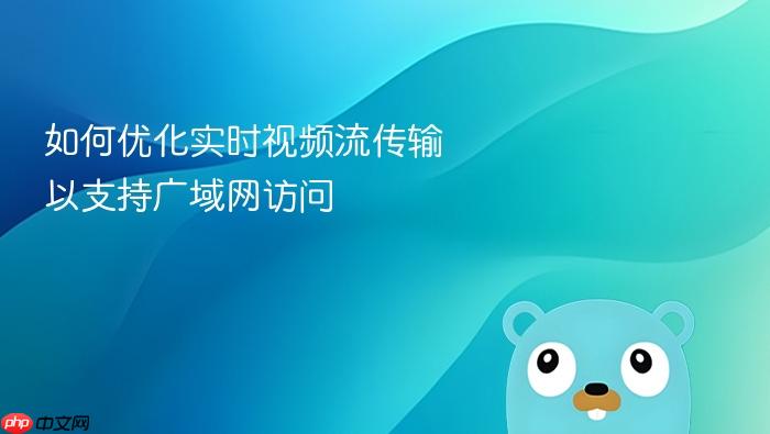 如何优化实时视频流传输以支持广域网访问