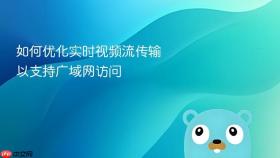 如何优化实时视频流传输以支持广域网访问
