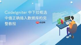 CodeIgniter 中下拉框选中值正确插入数据库的完整教程