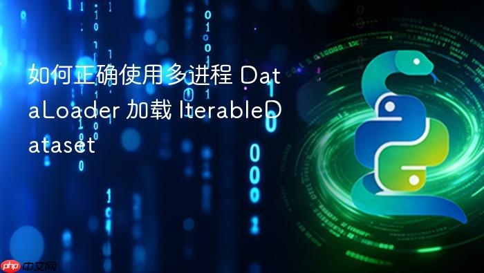 如何正确使用多进程 DataLoader 加载 IterableDataset