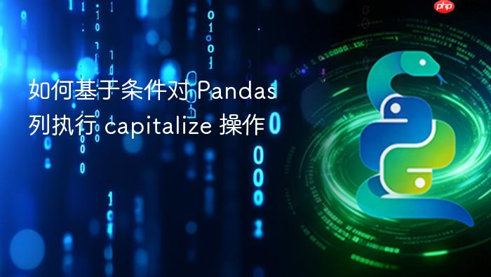 如何基于条件对 Pandas 列执行 capitalize 操作