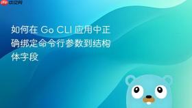 如何在 Go CLI 应用中正确绑定命令行参数到结构体字段
