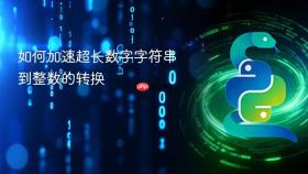 如何加速超长数字字符串到整数的转换