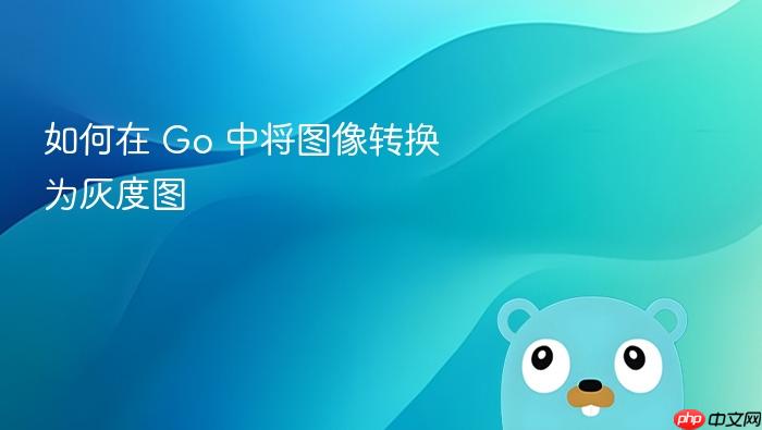 如何在 Go 中将图像转换为灰度图