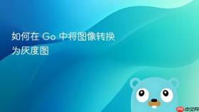 如何在 Go 中将图像转换为灰度图