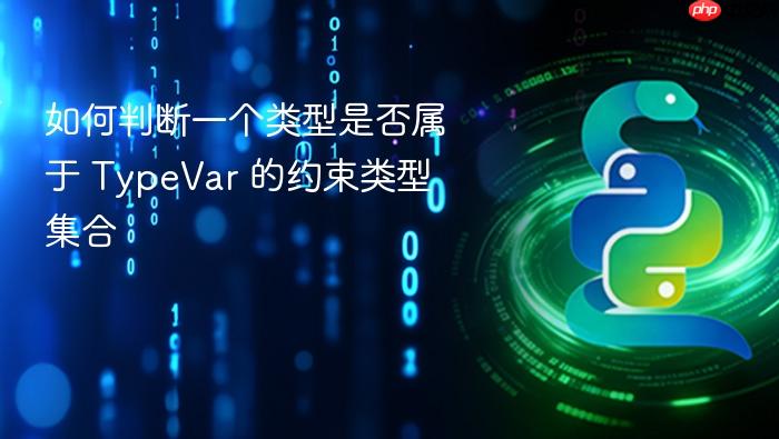 如何判断一个类型是否属于 TypeVar 的约束类型集合