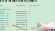 Hadoop官网安装包下载指南