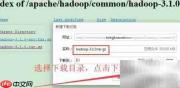 Hadoop官网安装包下载指南