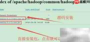 Hadoop官网安装包下载指南