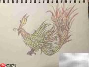 精卫鸟简笔画教程