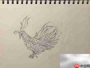 精卫鸟简笔画教程