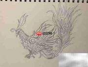 精卫鸟简笔画教程