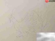 精卫鸟简笔画教程
