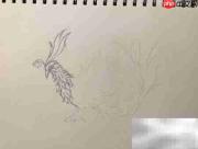 精卫鸟简笔画教程