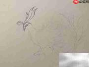 精卫鸟简笔画教程