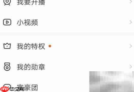 YY直播放电视剧教程