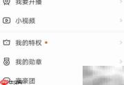 YY直播放电视剧教程