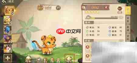 西普大陆精灵进化攻略