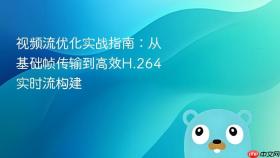 视频流优化实战指南:从基础帧传输到高效H.264实时流构建