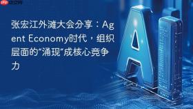 张宏江外滩大会分享:agent economy时代,组织层面的“涌现”成核心竞争力