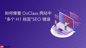 如何修复 OsClass 网站中“多个 H1 标签”SEO 错误
