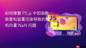 如何修复 P5.js 中因函数嵌套和变量污染导致的随机向量 NaN 问题