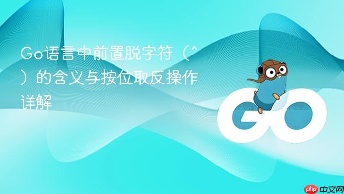 Go语言中前置脱字符(^)的含义与按位取反操作详解