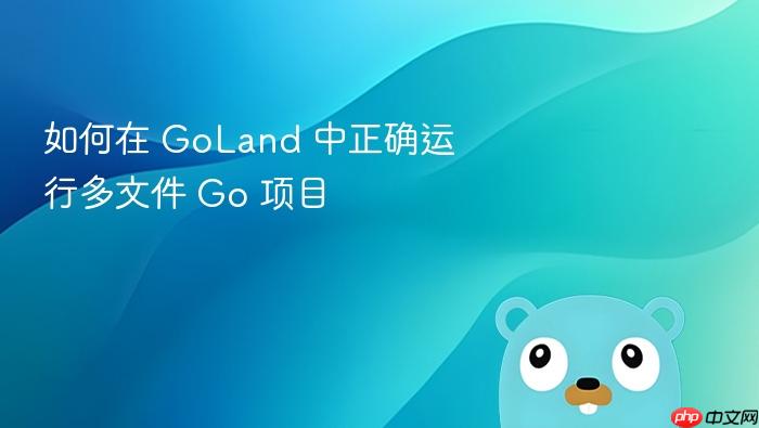 如何在 GoLand 中正确运行多文件 Go 项目
