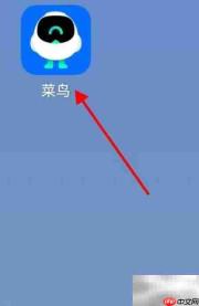 菜鸟必看：休闲娱乐查看指南