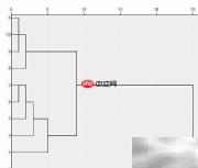 SPSS系统聚类分析