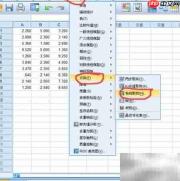 SPSS系统聚类分析