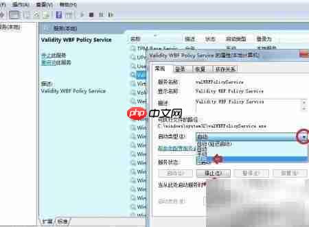 WBF政策服务有效性
