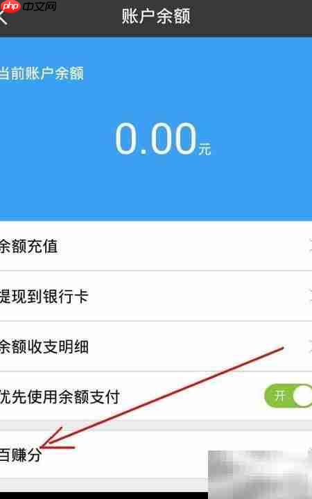 百宝券与百赚分查询指南